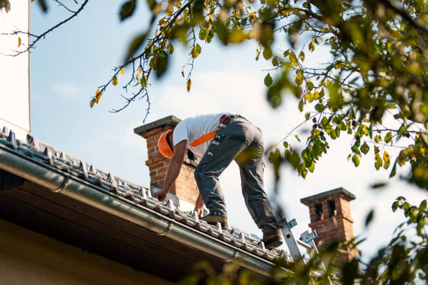 Roof Gutter Cleaning in Ontario, CA