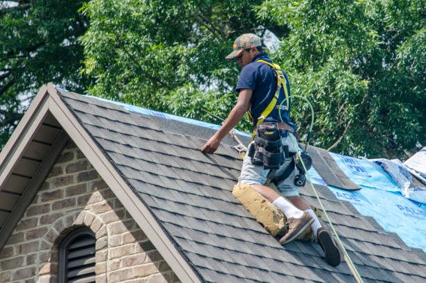 Best Roof Gutter Cleaning  in Ontario, CA